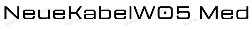NeueKabelW05 Medium字体转换